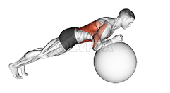 Thumbnail for the video of exercise: Exercise Ball Body Saw