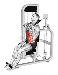 Thumbnail for the video of exercise: Lever Seated Full Crunch