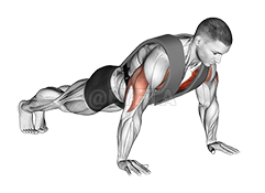 Thumbnail for the video of exercise: Weighted Push-up with Vest