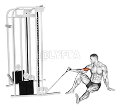 Thumbnail for the video of exercise: Cable Seated Floor One Arm Concentration Curl