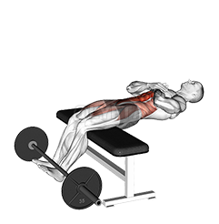 Seated best sale sit ups