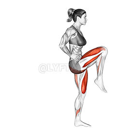 Thumbnail for the video of exercise: High Knees Lunge