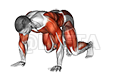 Thumbnail for the video of exercise: Side Bear Crawl