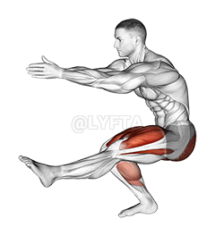 Thumbnail for the video of exercise: Static Lunge Kick