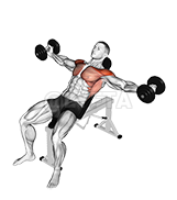 Thumbnail for the video of exercise: Dumbbell Incline Timpeall an Domhain