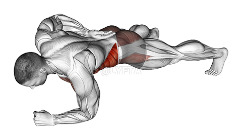 Thumbnail for the video of exercise: One Arm Front Plank