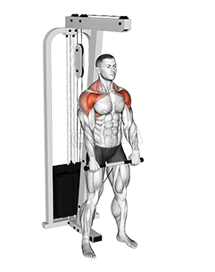 Thumbnail for the video of exercise: Cable Standing Front Raise Variation