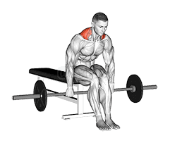 Thumbnail for the video of exercise: Barbell Seated Shrug