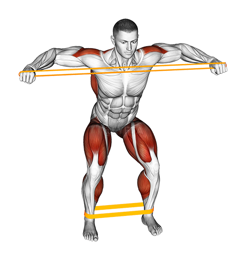 Thumbnail for the video of exercise: Resistance Band Squatting Front Warming-up