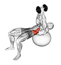 Thumbnail for the video of exercise: Dumbbell Russian Twist