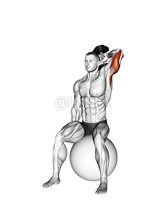 Thumbnail for the video of exercise: Dumbbell One Arm Triceps Extension on Stability Ball