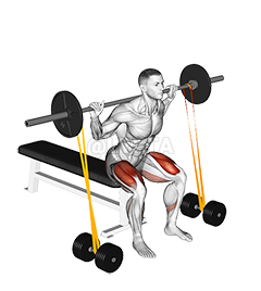 Thumbnail for the video of exercise: Barbell Banded Bench Squat