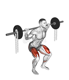 Thumbnail for the video of exercise: Barbell Squat with Chains