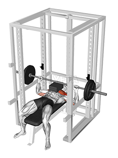 Thumbnail for the video of exercise: Barbell Bench Press with 3 board