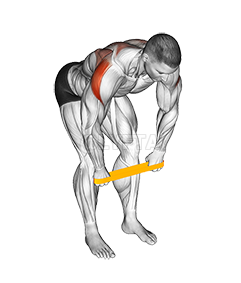 Thumbnail for the video of exercise: Resistance Band Bent Over Rear Delt Fly