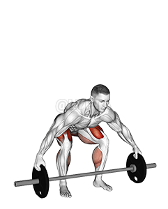 Barbell Reeves Deadlift - Video Guide