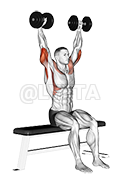 Thumbnail for the video of exercise: Dumbbell Seated Front and Back Tate Press