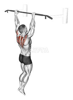 එල්ලෙන Scapular Shrug - Video Guide | Lyfta