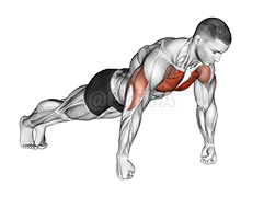 Thumbnail for the video of exercise: Knuckle Push-Up