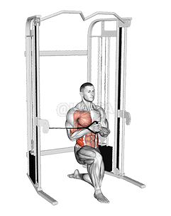 Thumbnail for the video of exercise: Cable Half Kneeling Pallof Press