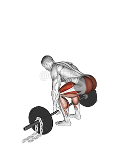 Thumbnail for the video of exercise: Barbell Deadlift against Chains