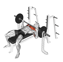 Thumbnail for the video of exercise: Barbell Bench Press against Chains