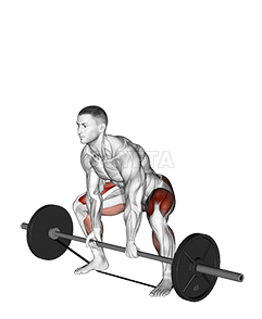 Thumbnail for the video of exercise: Barbell Banded Sumo Deadlift