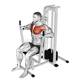 Thumbnail for the video of exercise: Lever Banded Chest Press