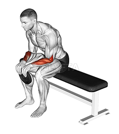 Thumbnail for the video of exercise: Weighted Seated Reverse Wrist Curl