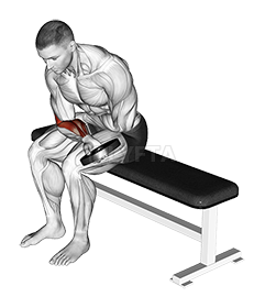 Thumbnail for the video of exercise: Weighted Seated One Arm Wrist Curl