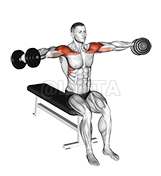 Thumbnail for the video of exercise: Dumbbell Seated Lateral to Front Raise