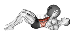Thumbnail for the video of exercise: Medicine Ball Crunch