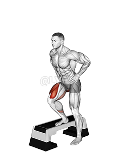 Thumbnail for the video of exercise: Stepdown Squat