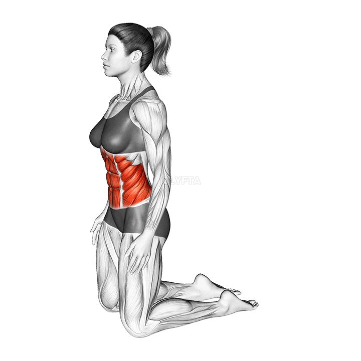 Thumbnail for the video of exercise: Estiramiento abdominal hacia atrás