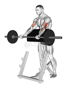 Thumbnail for the video of exercise: Barbell Spider Curl