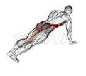 Thumbnail for the video of exercise: Leg Extension Plank