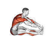 Thumbnail for the video of exercise: Rowing Boat Yoga Pose