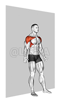 Thumbnail for the video of exercise: Alternate Shoulder Flexion Back to Wall