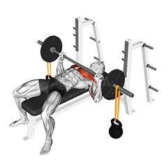 Thumbnail for the video of exercise: Barbell Bench Press with Band Suspended Kettlebell