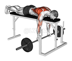 Thumbnail for the video of exercise: Barbell Lying Close-Grip Underhand Row on Rack