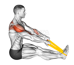 Thumbnail for the video of exercise: Resistance Band Seated Face Pull