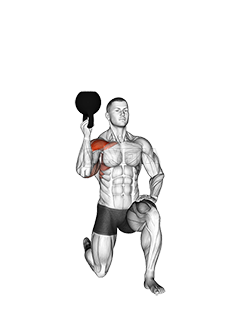 Thumbnail for the video of exercise: Kettlebell Half Kneeling One Arm Bottoms-Up Press