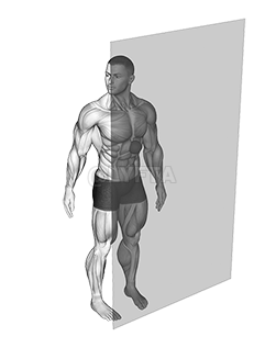 Thumbnail for the video of exercise: Roll Ball Diaphragm