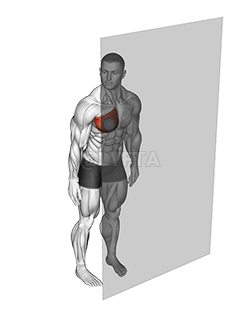 Thumbnail for the video of exercise: Roll Ball Pectoralis Major - Sternal