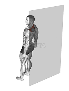 Thumbnail for the video of exercise: Roll Ball Trapezius Upper