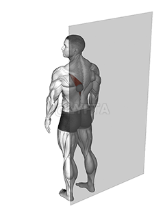 Thumbnail for the video of exercise: Roll Ball Trapezius Lower