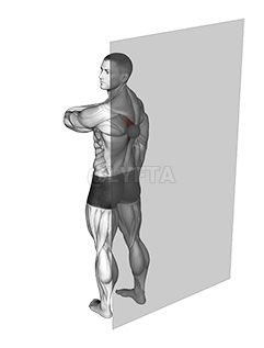 Thumbnail for the video of exercise: Roll Ball Trapezius Lower