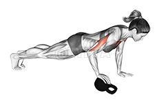 Thumbnail for the video of exercise: Kettlebell Press-Up