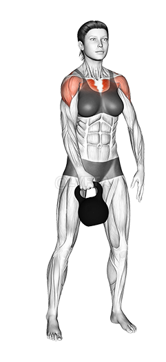 Thumbnail for the video of exercise: Kettlebell Standing Slingshots