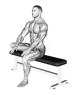 Thumbnail for the video of exercise: Seated Glute Stretch